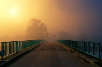 Нет цели в жизни